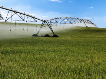 PIVO CENTRAL PIVO CENTRAL