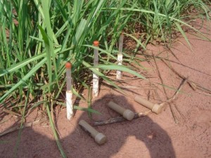 Manejo de irrigação (tensiometria)